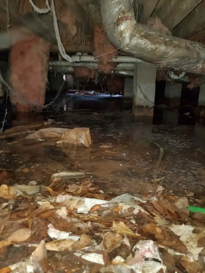 Crawl space flood assessment for Leak Detection & Repair in Minden