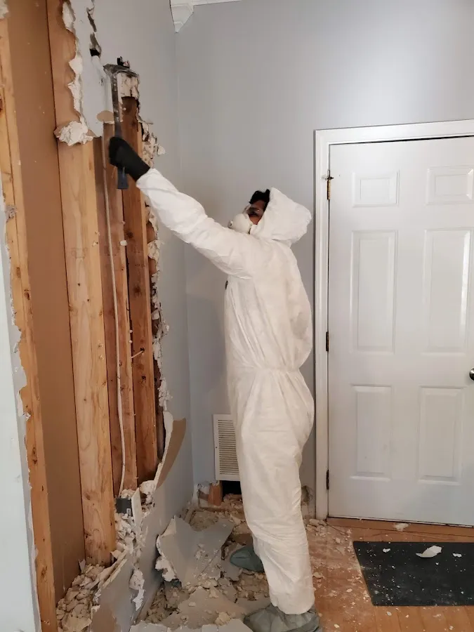 Mold Remediation & Removal in Minden, LA