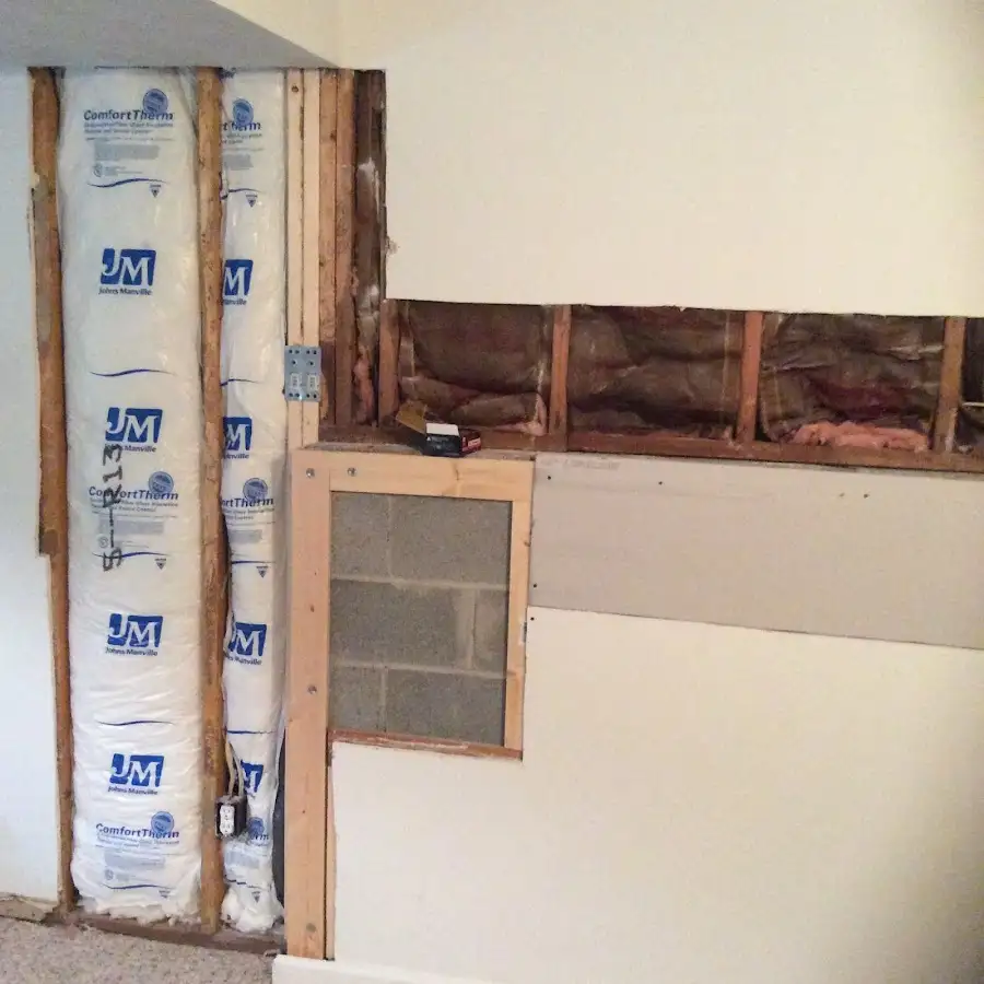 Wall insulation replacement during Odor Removal & Deodorization in Minden